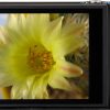 Canon PowerShot ELPH 360 HS Digital Camera Black 20MP Full-9