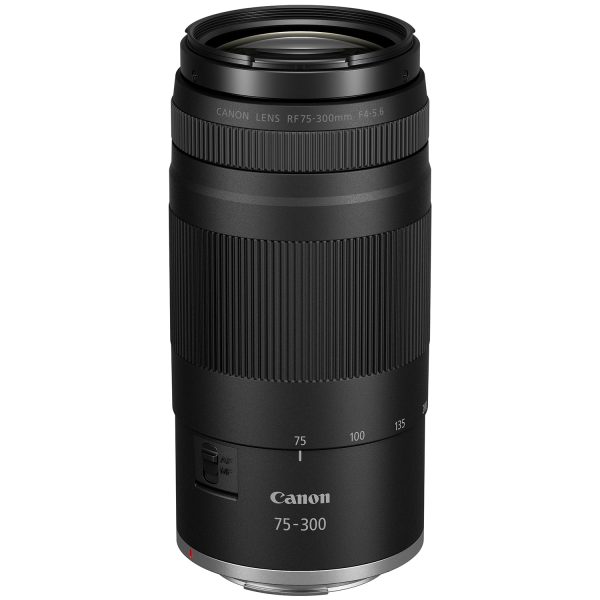 Canon EOS R100 Mirrorless Camera Kit Low Light Performance-5
